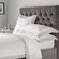 Sharon-Klein-Photography_-site_-31
