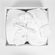 Sharon-Klein-Photography_-kit-silk_-01