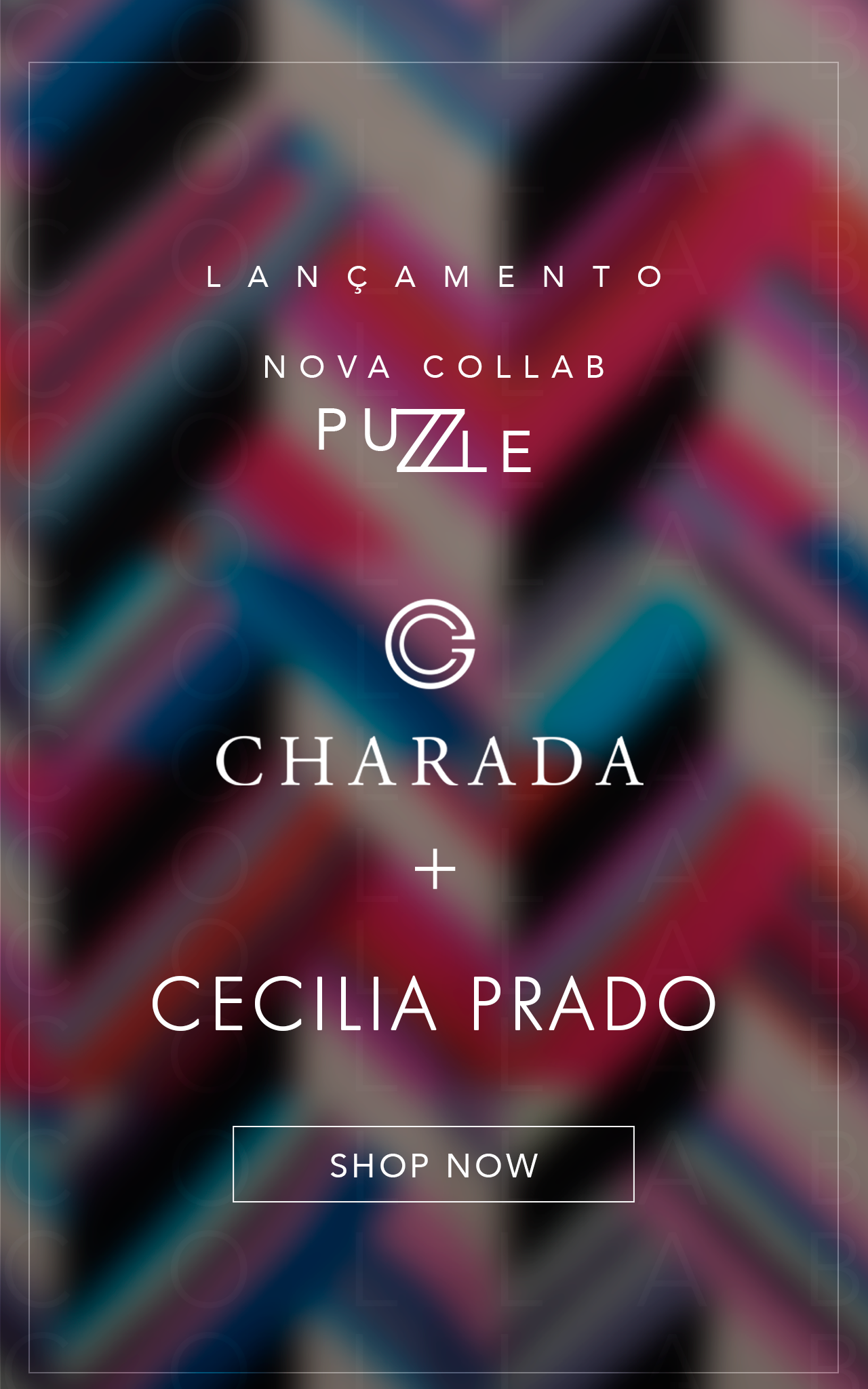 Banner Cecilia Prado